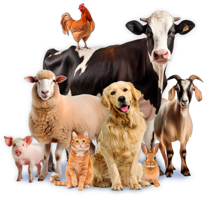 Vet Havens Vaccine Manufacturing