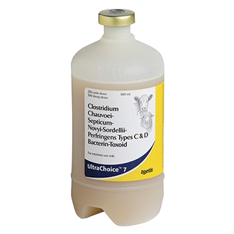 CamelSafe Clostridium 4