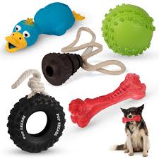 Dog Toy Set (5 pcs)