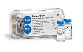 DHPP Vaccine