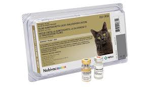 FVRCP Cat Vaccine