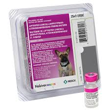 Leptospirosis Vaccine