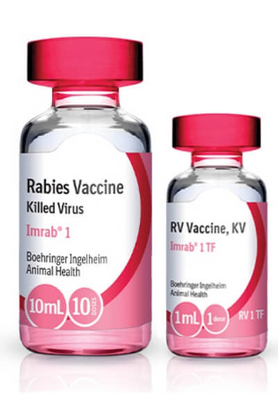 Rabies Vaccine